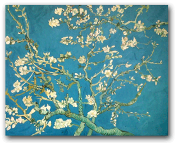 Reproductie Amandelbloesem - Vincent van Gogh